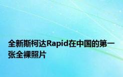 全新斯柯达Rapid在中国的第一张全裸照片