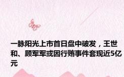 一脉阳光上市首日盘中破发，王世和、顾军军或因行贿事件套现近5亿元