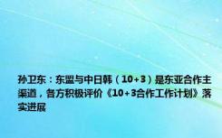 孙卫东：东盟与中日韩（10+3）是东亚合作主渠道，各方积极评价《10+3合作工作计划》落实进展