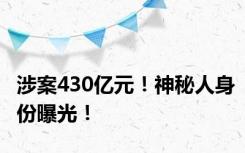 涉案430亿元！神秘人身份曝光！