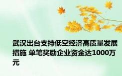 武汉出台支持低空经济高质量发展措施 单笔奖励企业资金达1000万元