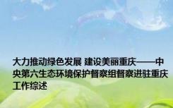 大力推动绿色发展 建设美丽重庆——中央第六生态环境保护督察组督察进驻重庆工作综述