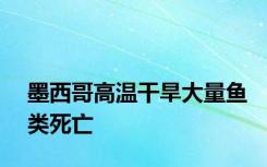 墨西哥高温干旱大量鱼类死亡