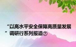 “以高水平安全保障高质量发展”调研行系列报道⑦