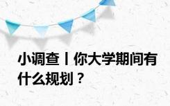 小调查丨你大学期间有什么规划？