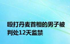 殴打丹麦首相的男子被判处12天监禁