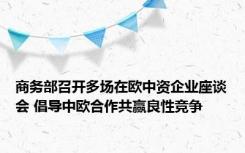 商务部召开多场在欧中资企业座谈会 倡导中欧合作共赢良性竞争