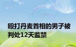 殴打丹麦首相的男子被判处12天监禁