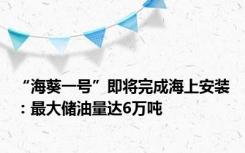 “海葵一号”即将完成海上安装：最大储油量达6万吨