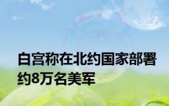 白宫称在北约国家部署约8万名美军