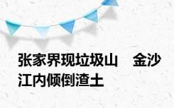 张家界现垃圾山　金沙江内倾倒渣土