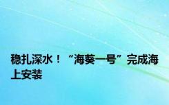 稳扎深水！“海葵一号”完成海上安装