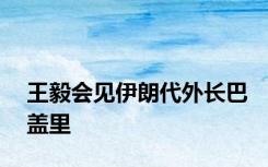 王毅会见伊朗代外长巴盖里