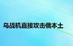 乌战机直接攻击俄本土