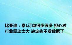 比亚迪：秦L订单很多很多 担心对行业震动太大 决定先不发数据了