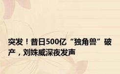 突发！昔日500亿“独角兽”破产，刘姝威深夜发声