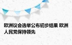 欧洲议会选举公布初步结果 欧洲人民党保持领先