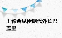 王毅会见伊朗代外长巴盖里