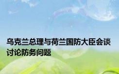 乌克兰总理与荷兰国防大臣会谈 讨论防务问题