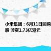 小米集团：6月11日回购100万股 涉资1.73亿港元