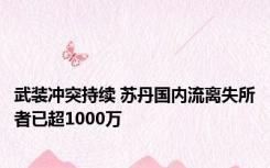 武装冲突持续 苏丹国内流离失所者已超1000万