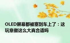 OLED屏幕都被塞到车上了：这玩意做这么大真合适吗