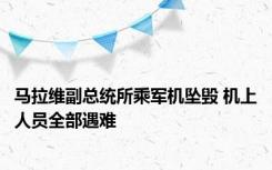 马拉维副总统所乘军机坠毁 机上人员全部遇难