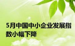 5月中国中小企业发展指数小幅下降