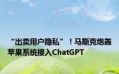 “出卖用户隐私”！马斯克炮轰苹果系统接入ChatGPT