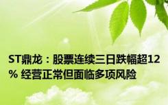 ST鼎龙：股票连续三日跌幅超12% 经营正常但面临多项风险