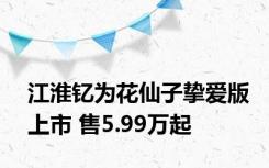 江淮钇为花仙子挚爱版上市 售5.99万起