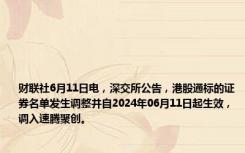 财联社6月11日电，深交所公告，港股通标的证券名单发生调整并自2024年06月11日起生效，调入速腾聚创。