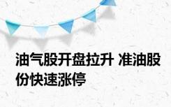 油气股开盘拉升 准油股份快速涨停