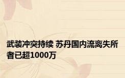 武装冲突持续 苏丹国内流离失所者已超1000万