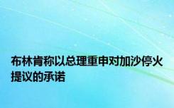 布林肯称以总理重申对加沙停火提议的承诺