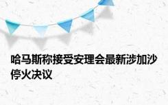 哈马斯称接受安理会最新涉加沙停火决议