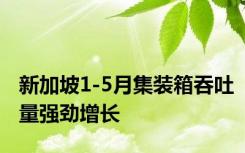 新加坡1-5月集装箱吞吐量强劲增长