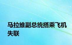 马拉维副总统搭乘飞机失联