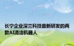 长宁企业深兰科技最新研发的两款AI清洁机器人