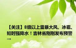 【关注】8级以上雷暴大风、冰雹、短时强降水！吉林省刚刚发布预警→