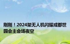 刚刚！2024架无人机闪耀成都世园会主会场夜空