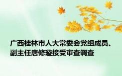 广西桂林市人大常委会党组成员、副主任唐修璇接受审查调查