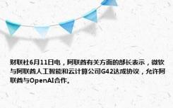 财联社6月11日电，阿联酋有关方面的部长表示，微软与阿联酋人工智能和云计算公司G42达成协议，允许阿联酋与OpenAI合作。