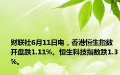 财联社6月11日电，香港恒生指数开盘跌1.11%。恒生科技指数跌1.3%。