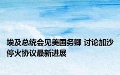 埃及总统会见美国务卿 讨论加沙停火协议最新进展