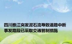 四川雅江突发泥石流导致道路中断 事发路段已采取交通管制措施