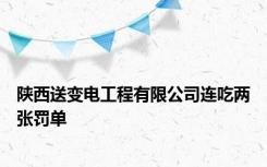 陕西送变电工程有限公司连吃两张罚单