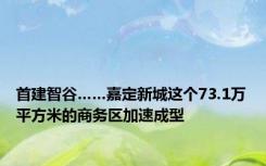 首建智谷……嘉定新城这个73.1万平方米的商务区加速成型