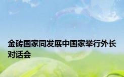 金砖国家同发展中国家举行外长对话会