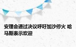 安理会通过决议呼吁加沙停火 哈马斯表示欢迎